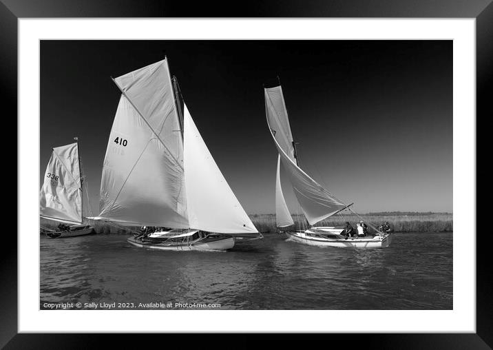 River Cruisers racing at Acle Regatta in Norfolk Framed Mounted Print by Sally Lloyd