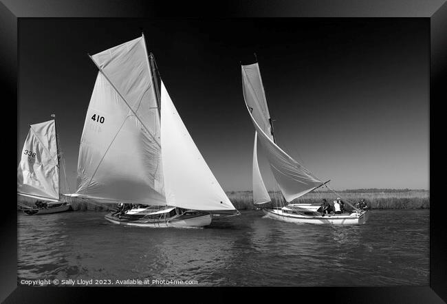 River Cruisers racing at Acle Regatta in Norfolk Framed Print by Sally Lloyd