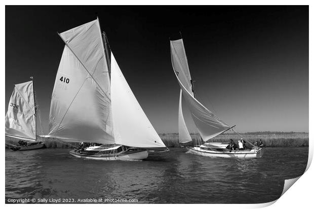 River Cruisers racing at Acle Regatta in Norfolk Print by Sally Lloyd