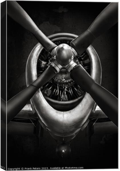 p47 thunderbolt Canvas Print by Frank Peters