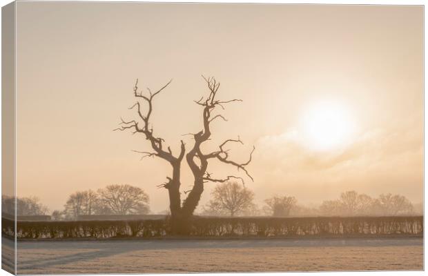 Frosty morning in Wiltshire Canvas Print by Kevin Howchin