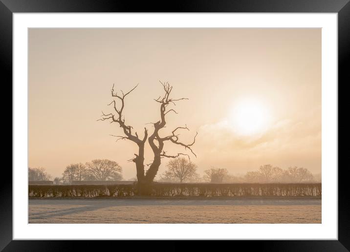 Frosty morning in Wiltshire Framed Mounted Print by Kevin Howchin
