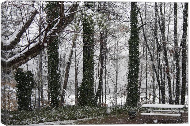 Snow in Atlanta Canvas Print by Michael Waters Photography