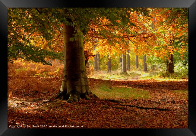 Autumn Colour Framed Print by Jon Saiss