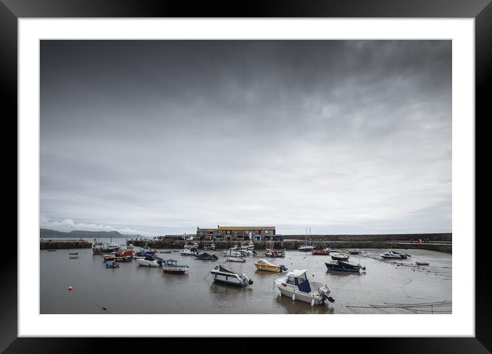 The Harbour and Cobb, Lyme Regis Framed Mounted Print by Mark Jones