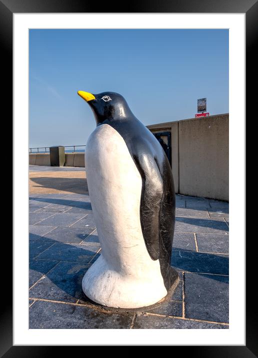 Adorable Redcar Penguin Framed Mounted Print by Steve Smith