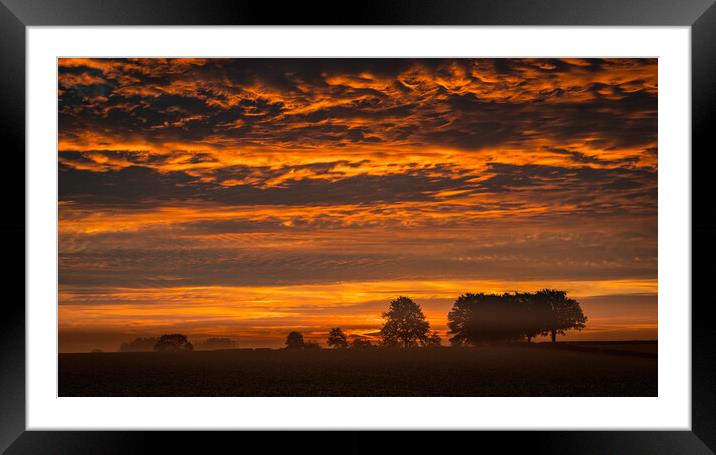 Autumn Sunrise Framed Mounted Print by Bill Allsopp