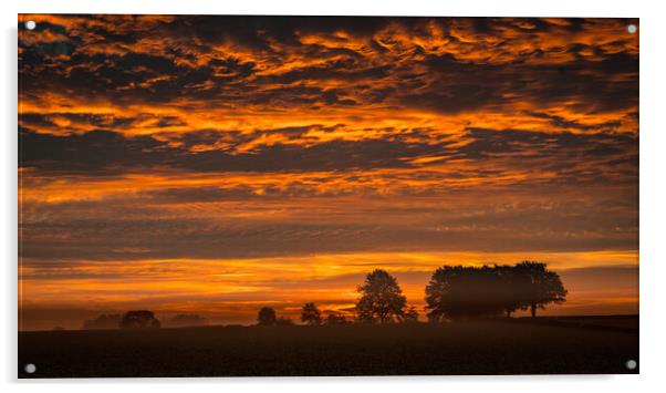 Autumn Sunrise Acrylic by Bill Allsopp