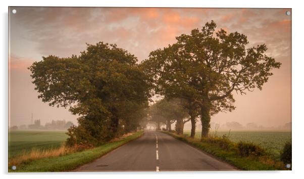 Misty Morning Glory Acrylic by Bill Allsopp