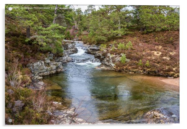River Lui near Braemar in Royal Deeside Scotland Acrylic by Angus McComiskey