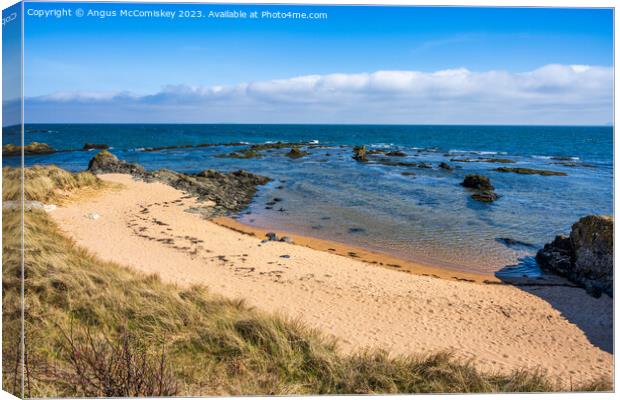 Sandy beach on the Fife coast of Scotland Canvas Print by Angus McComiskey