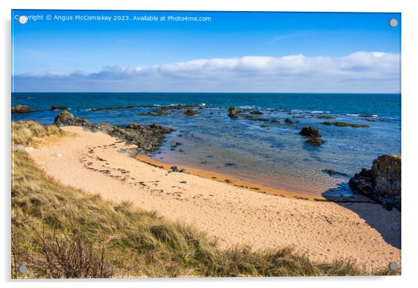 Sandy beach on the Fife coast of Scotland Acrylic by Angus McComiskey