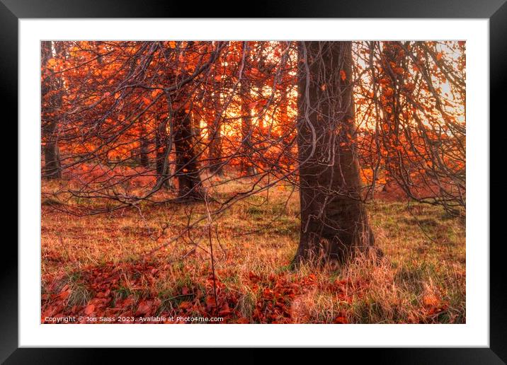 Autumn Sunset Framed Mounted Print by Jon Saiss