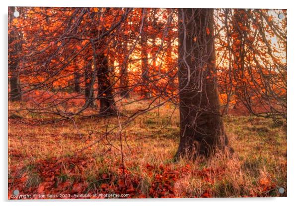 Autumn Sunset Acrylic by Jon Saiss