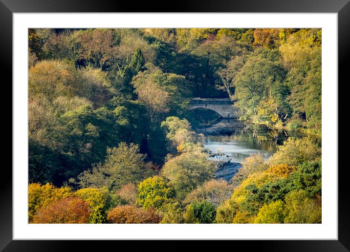 Bridge Amidst Autumn Trees Framed Mounted Print by Bill Allsopp