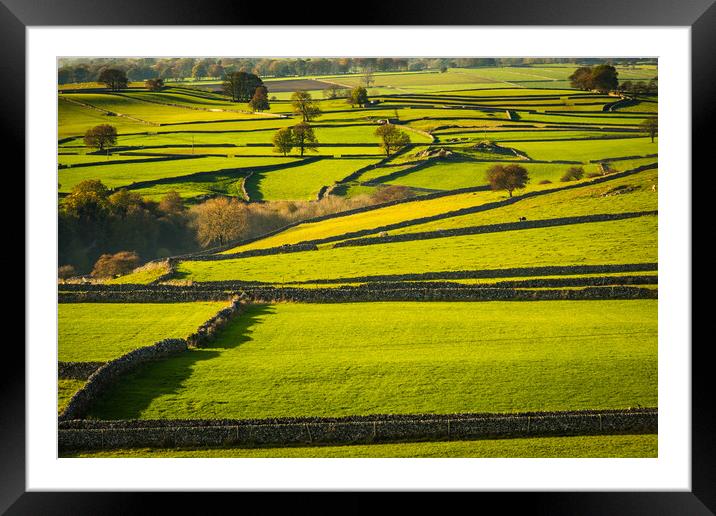 Patchwork Countryside Framed Mounted Print by Bill Allsopp