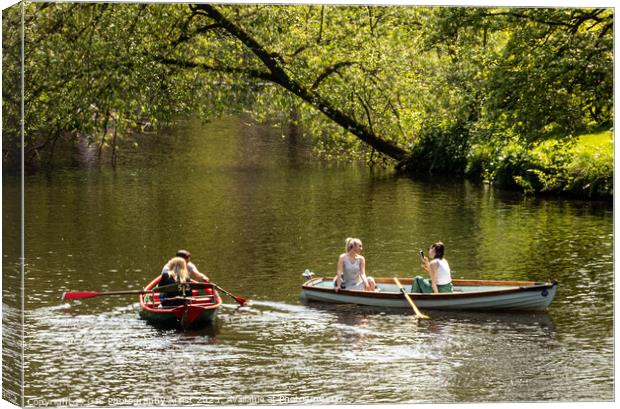 Accidental Inclusion On The Nidd Canvas Print by GJS Photography Artist