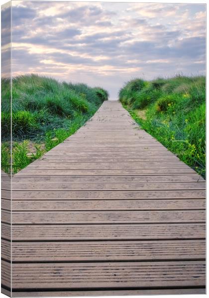 Discovering Redcar: A Boardwalk Adventure Canvas Print by Tim Hill