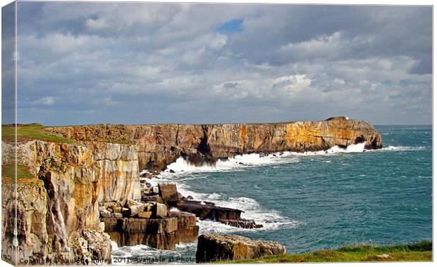 Stackpole Head.Pembrokeshire. Canvas Print by paulette hurley