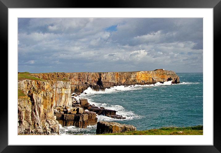 Stackpole Head.Pembrokeshire. Framed Mounted Print by paulette hurley