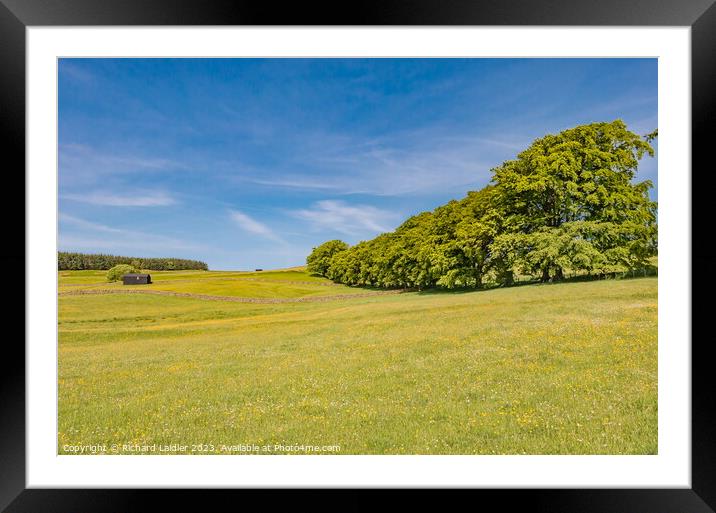 Spring Flower Meadows in Ettersgill, Teesdale Framed Mounted Print by Richard Laidler