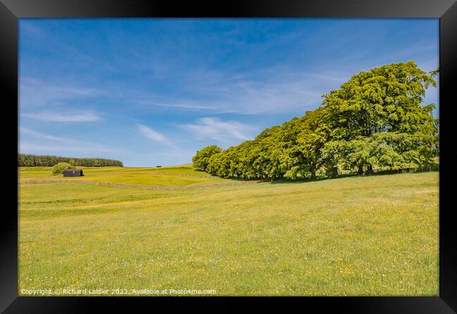 Spring Flower Meadows in Ettersgill, Teesdale Framed Print by Richard Laidler