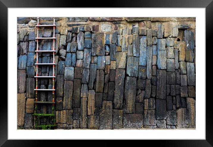 Harbour Wall Framed Mounted Print by Tom Lloyd
