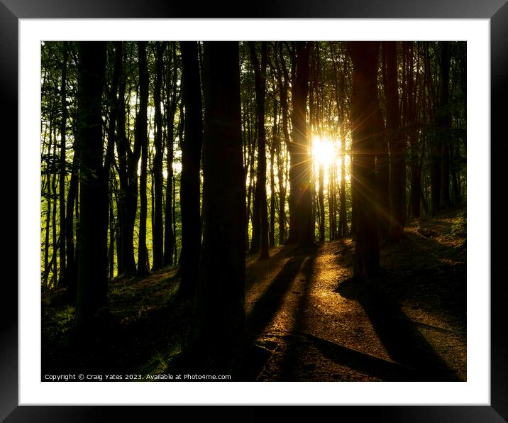 Woodland Sunrise at Linacre Reservoirs Peak District. Framed Mounted Print by Craig Yates
