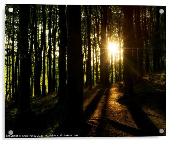 Woodland Sunrise at Linacre Reservoirs Peak District. Acrylic by Craig Yates