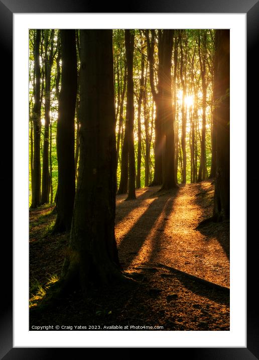 Woodland Sunrise at Linacre Reservoirs Peak District. Framed Mounted Print by Craig Yates