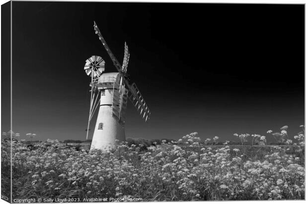 Thurne Mill with Cow Parsley in Black and White Canvas Print by Sally Lloyd