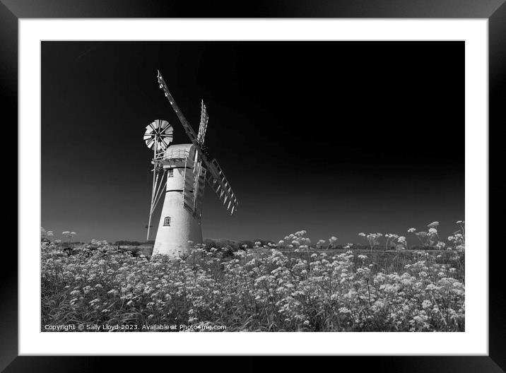 Thurne Mill with Cow Parsley in Black and White Framed Mounted Print by Sally Lloyd