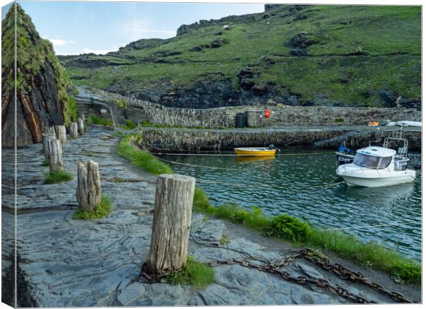 Harbour wall at Boscastle Canvas Print by Tony Twyman