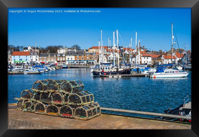 Creels on quayside of Anstruther harbour Framed Print by Angus McComiskey