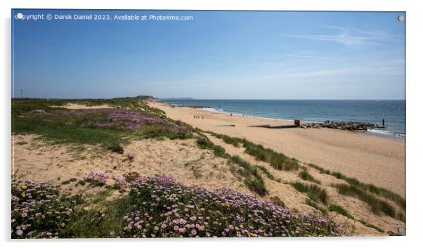 Sea Thrift above Southbourne beach Acrylic by Derek Daniel