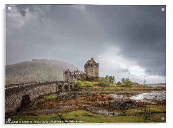 Eilean Donan Castle Acrylic by Stephen Young
