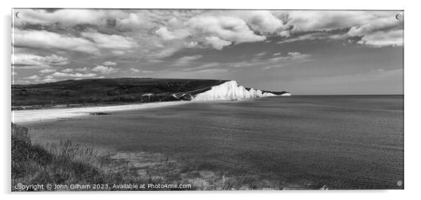 Seven Sisters White Cliffs at Cuckmere Haven East  Acrylic by John Gilham