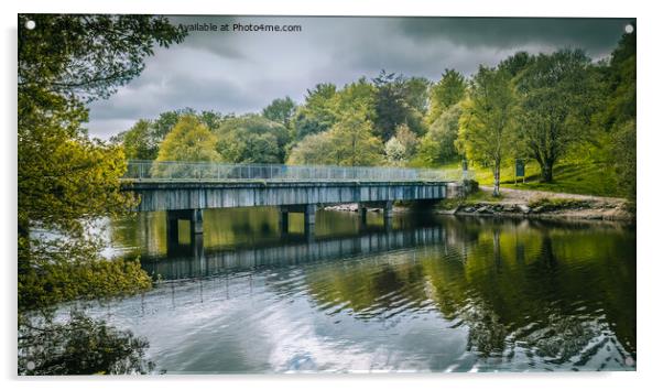 Hiking around Jumbles country park in the North of Bolton Acrylic by Peter Stuart