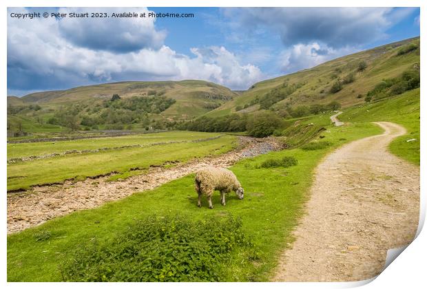 Hiking on the Pennine Journey and Coast to Coast trail near to K Print by Peter Stuart