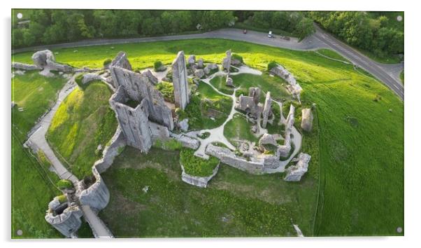 Corfe Castle Acrylic by Stephen Ward