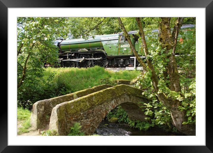 Flying Scotsman through the trees. Framed Mounted Print by David Birchall