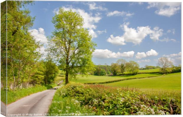 Countryside near Coppice Howe Canvas Print by Philip Baines