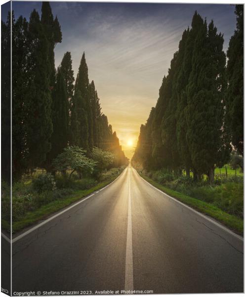 The avenue of Bolgheri and the sun in the middle Canvas Print by Stefano Orazzini