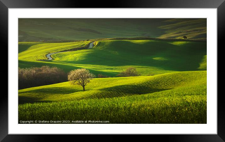 Spring in Tuscany, rolling hills and trees. Pienza, Val d'Orcia Framed Mounted Print by Stefano Orazzini