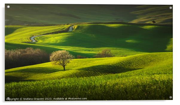 Spring in Tuscany, rolling hills and trees. Pienza, Val d'Orcia Acrylic by Stefano Orazzini