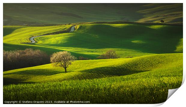 Spring in Tuscany, rolling hills and trees. Pienza, Val d'Orcia Print by Stefano Orazzini