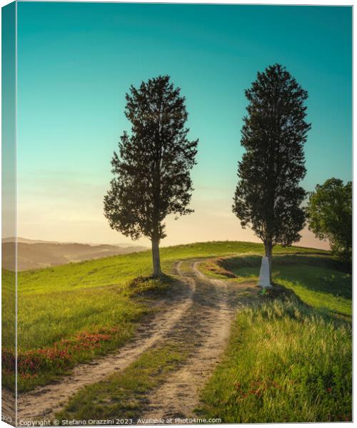 Two trees on the route of the via Francigena. Tuscany Canvas Print by Stefano Orazzini