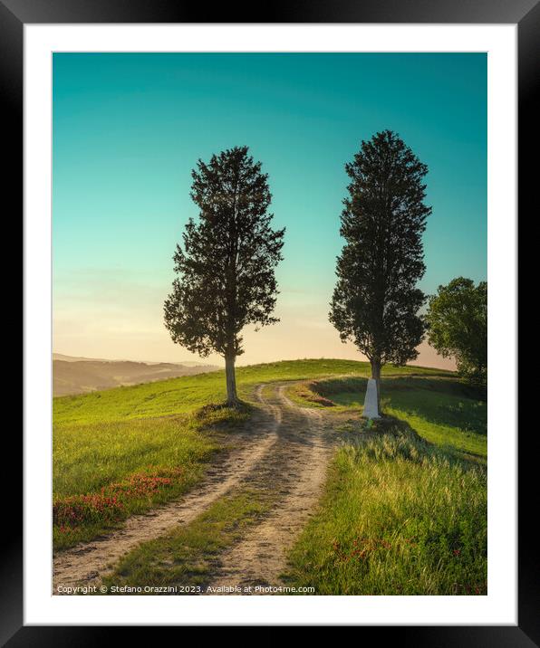 Two trees on the route of the via Francigena. Tuscany Framed Mounted Print by Stefano Orazzini