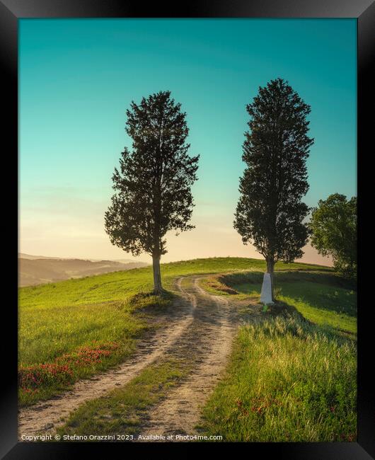 Two trees on the route of the via Francigena. Tuscany Framed Print by Stefano Orazzini