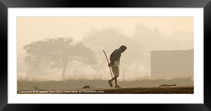 A Misty Morning Framed Mounted Print by Bhagwat Tavri